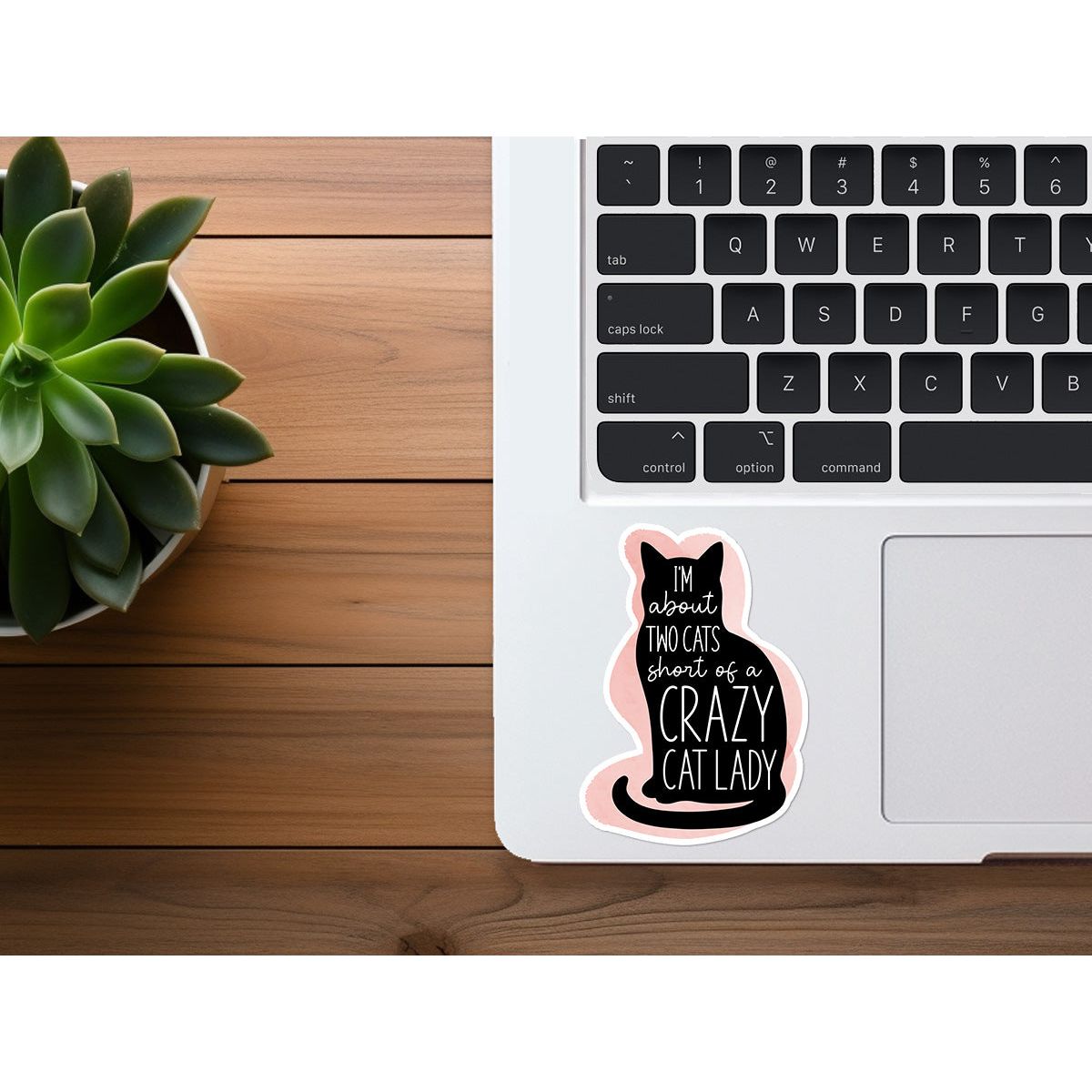 Crazy Cat Lady | Funny Sticker
