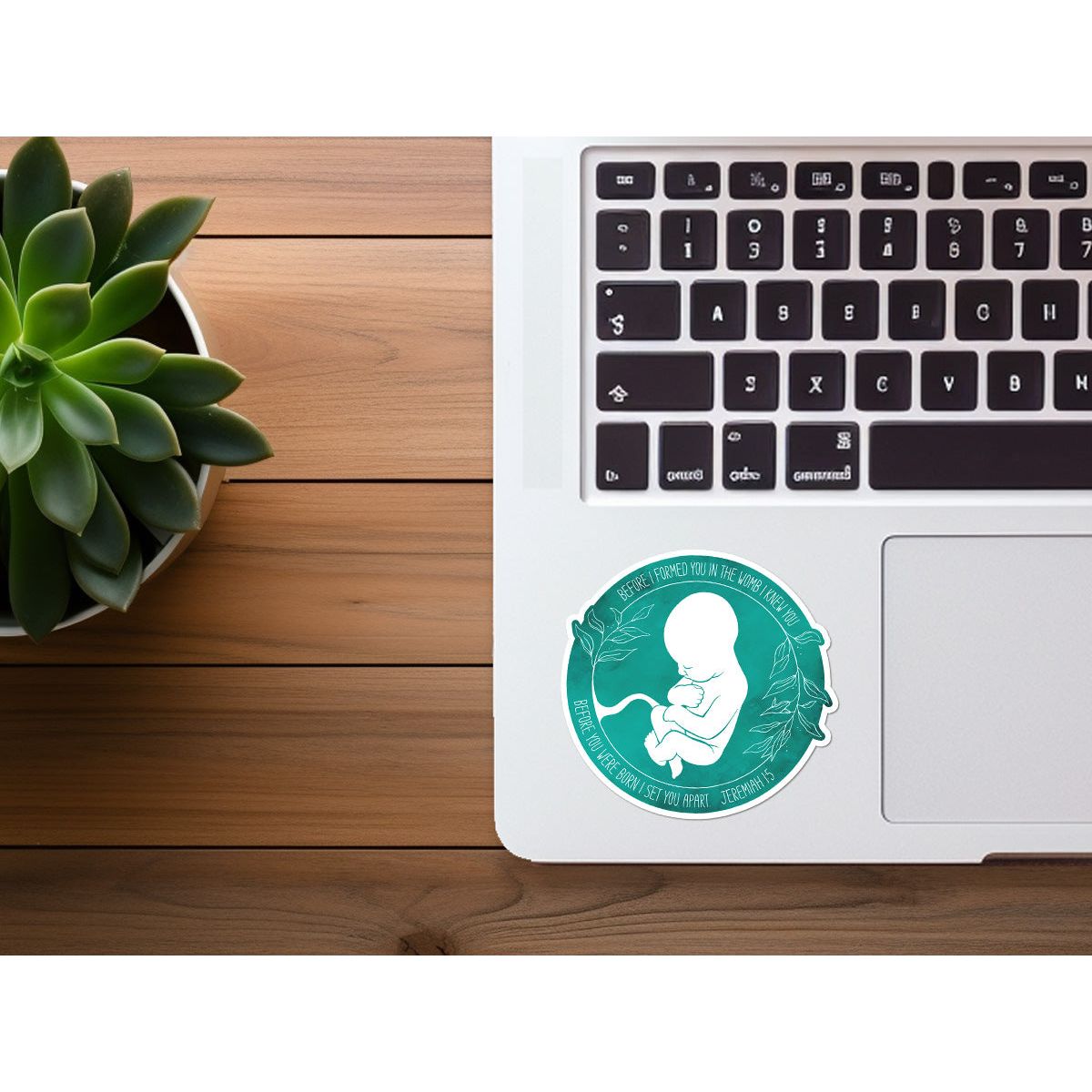 Sanctity of Life Sticker | Christian Sticker