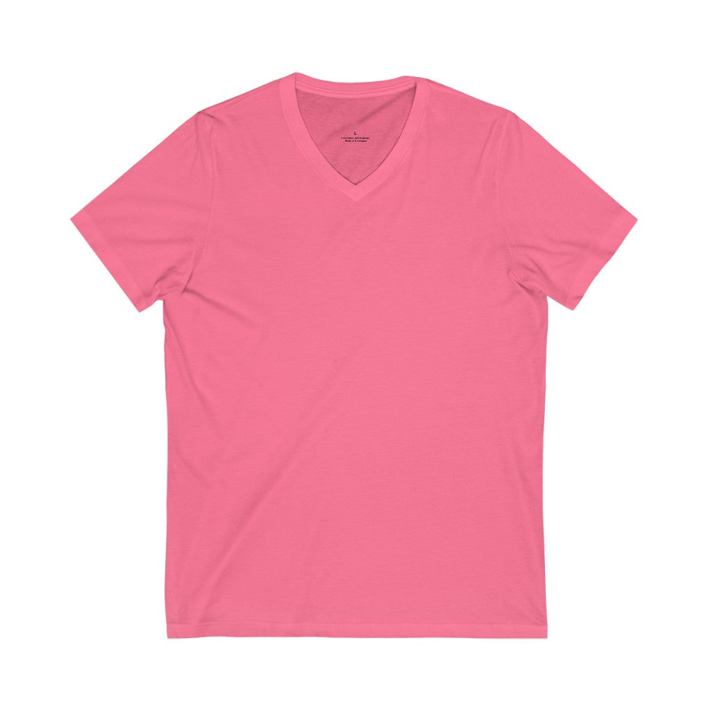 Any Design on a V-Neck Tee