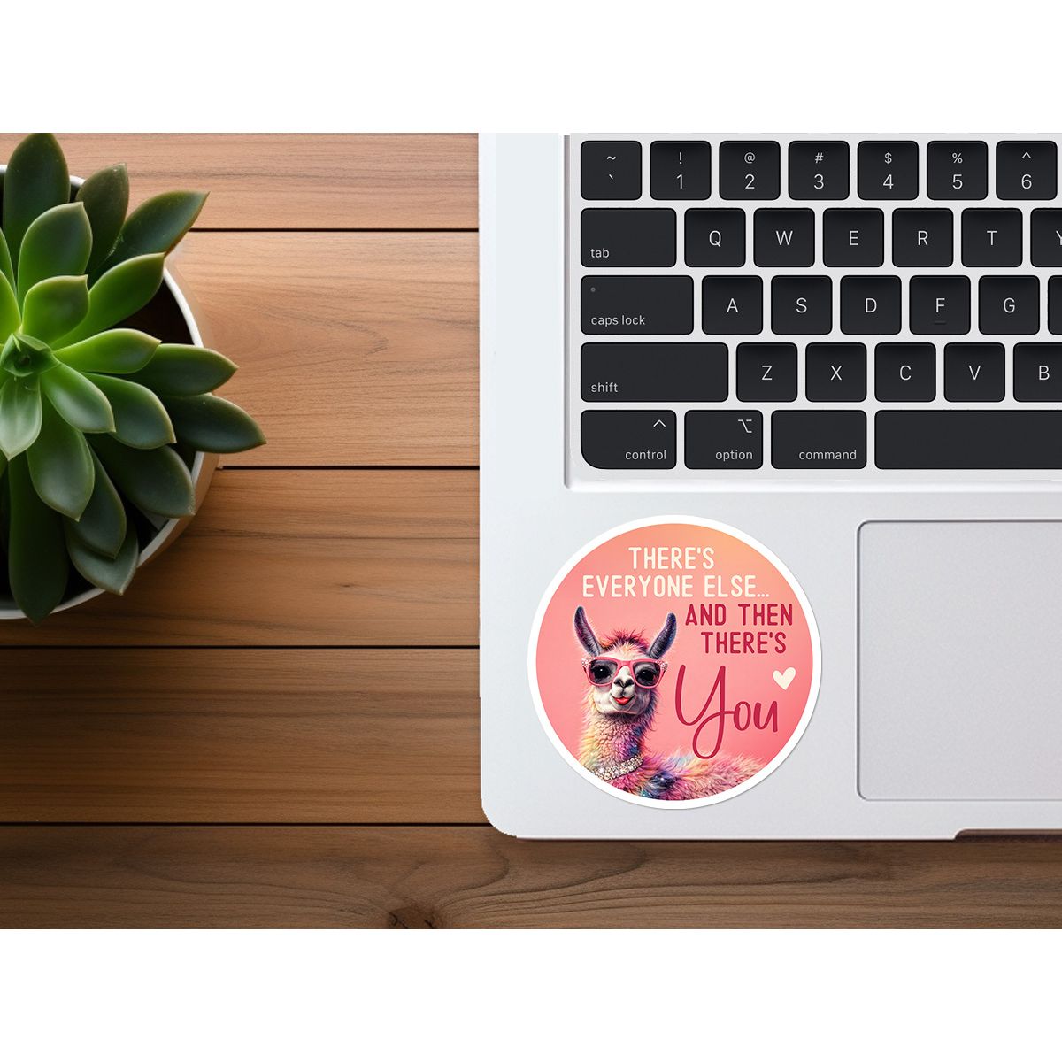 There's Everyone Else, and Then There's You | Funny Friend Sticker | Llama