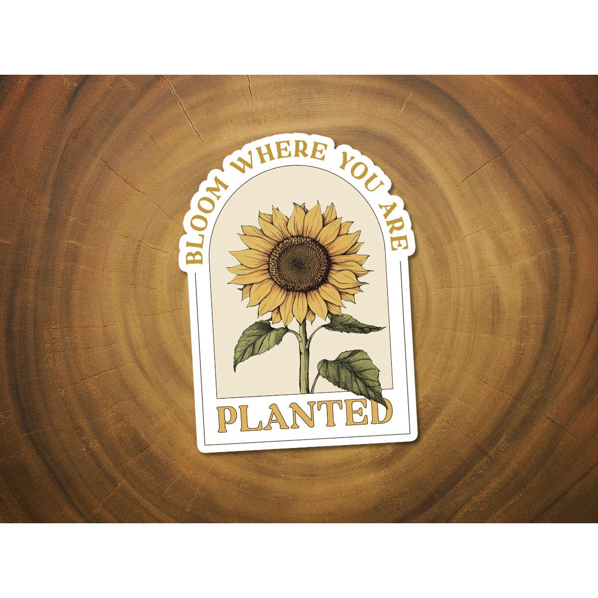 Bloom Where You Are Planted | Waterproof Vinyl Sticker