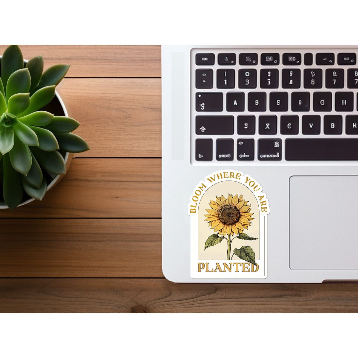 Bloom Where You Are Planted | Waterproof Vinyl Sticker