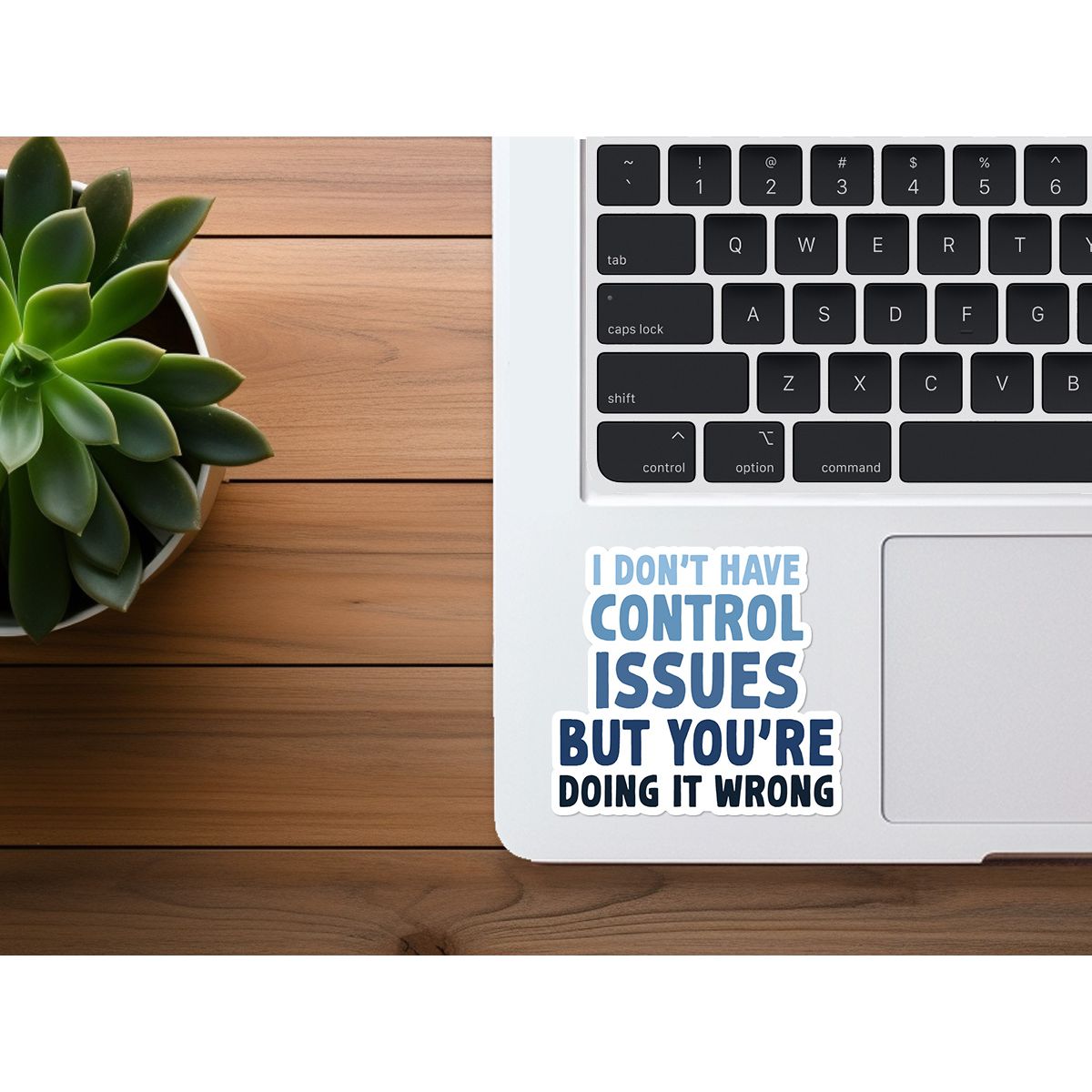 I Don't Have Control Issues But You're Doing It Wrong | Funny Sticker