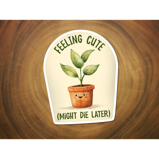 Feeling Cute, Might Die Later | Funny Plant Sticker | Plants