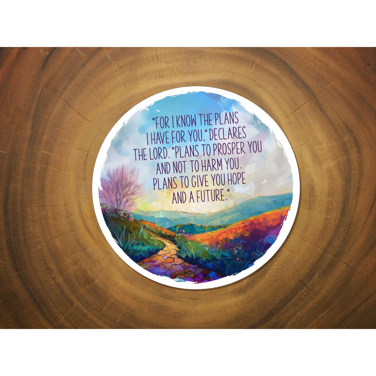 Jeremiah 29:11 - For I know the plans I have for you | Vinyl Christian Sticker