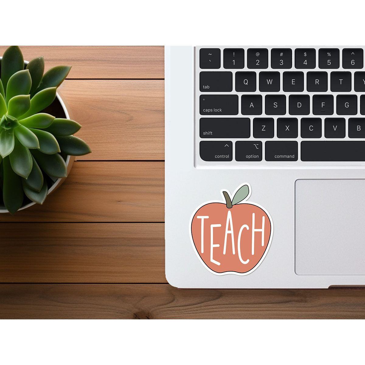 Teacher Appreciation Sticker | Apple | Waterproof Vinyl